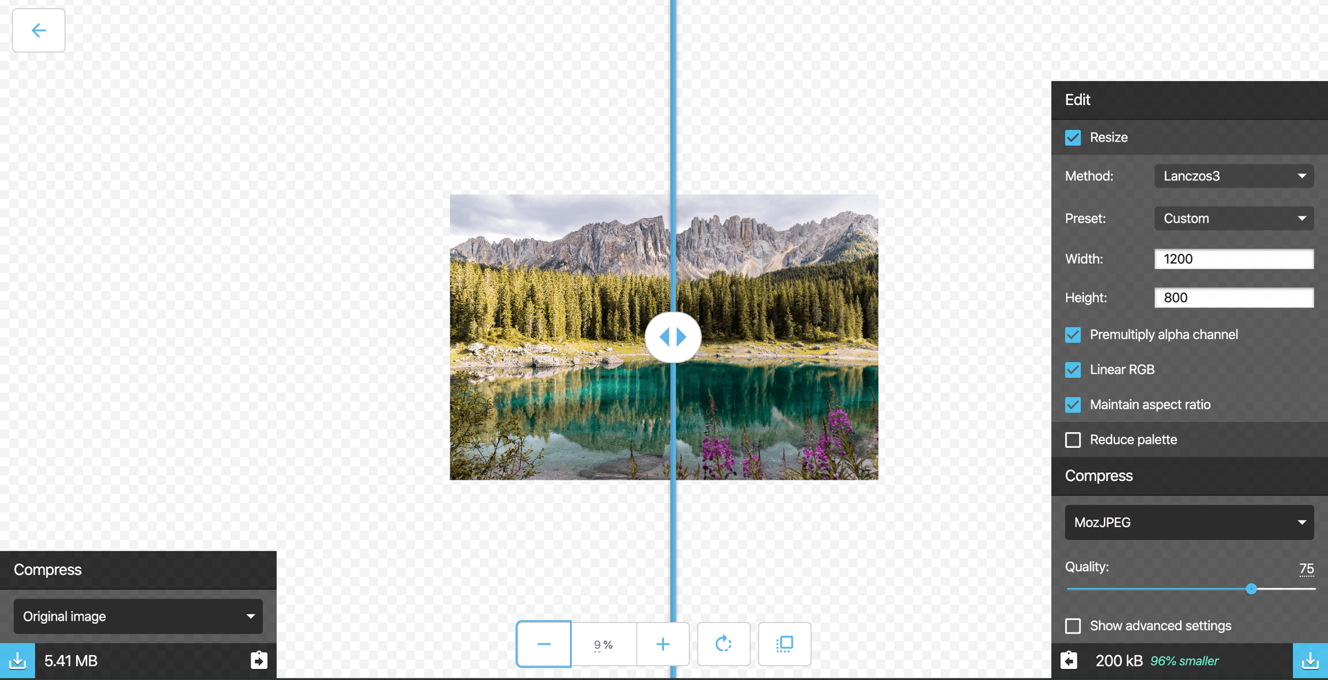 Screenshot of an image resized on Squoosh.app